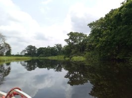 Sur les rives du fleuve Kouilou, dans les environs des villages de Mvilani et Tchibébé, la délégation a poursuivi son immersion au cœur du pays