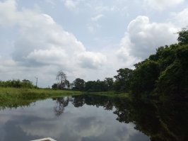 Sur les rives du fleuve Kouilou, dans les environs des villages de Mvilani et Tchibébé, la délégation a poursuivi son immersion au cœur du pays